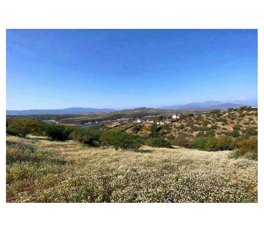 Parcelas en Venta Quillota Limache - Fotos de Vende Parcela Embalso Los Aromos 5.000 m2. Rol propio.