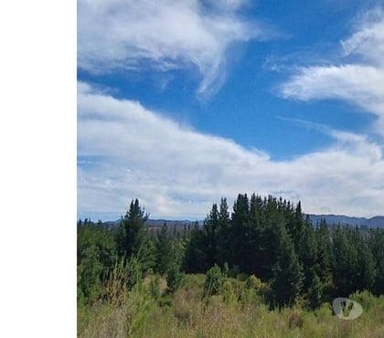 Inmobiliaria Nacimiento Bío-Bío - Fotos de Parcela con acceso directo Ruta de la Madera Nacimiento