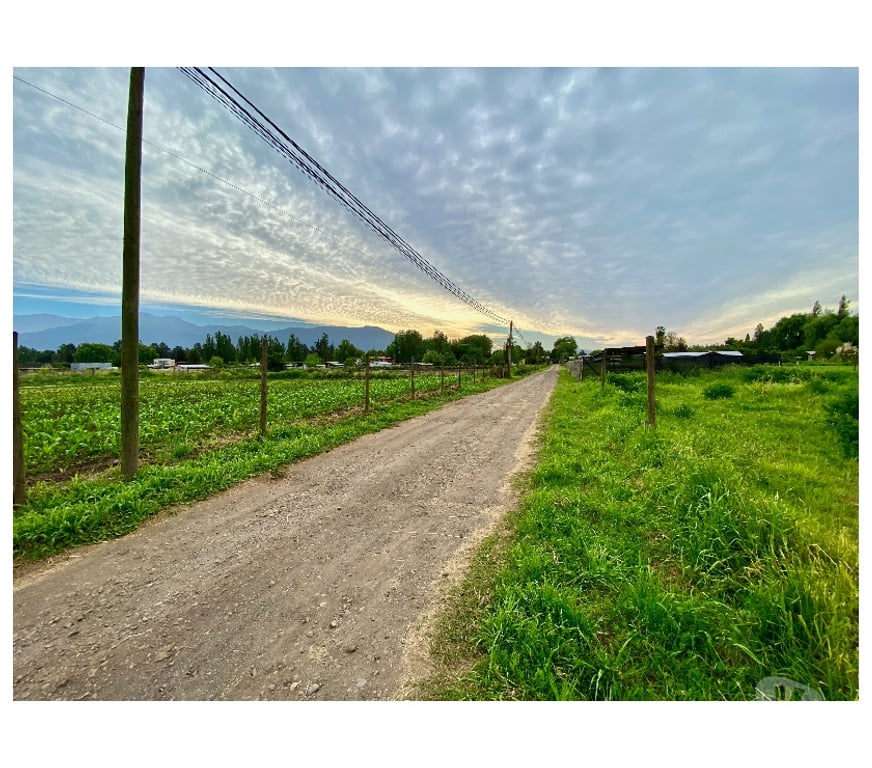 Parcelas en Venta Maipo Paine - Fotos de Terreno Plano Con Rol Propio 4.450 M2, Paine colonia Kennedy