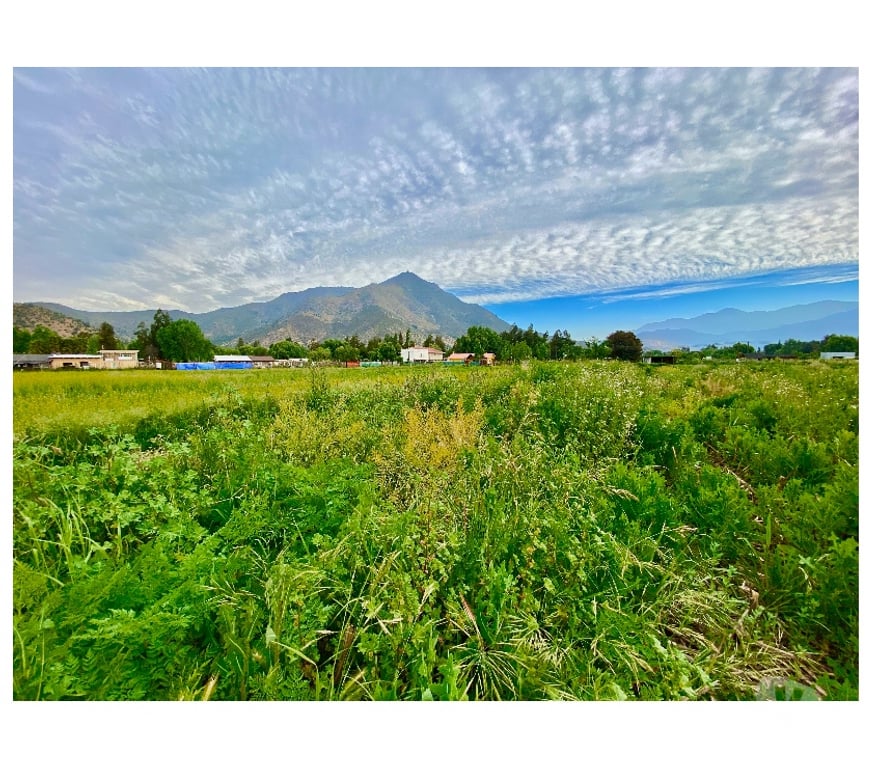 Parcelas en Venta Maipo Paine - Fotos de Terreno Plano Con Rol Propio 4.450 M2, Paine colonia Kennedy