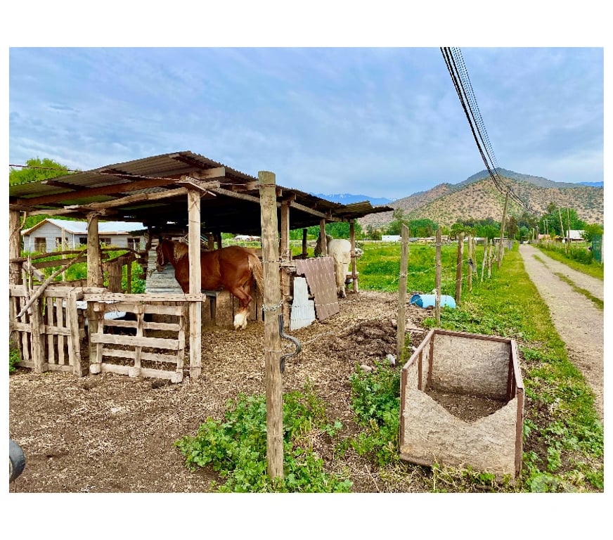 Parcelas en Venta Maipo Paine - Fotos de Terreno Plano Con Rol Propio 4.450 M2, Paine colonia Kennedy