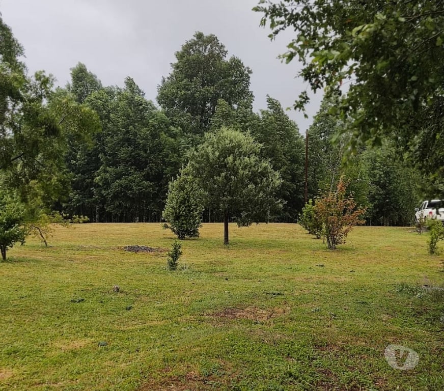 Parcelas en Venta Cautín Villarrica - Fotos de Vendo parcela con casa y cabaña (parcela de agrado)