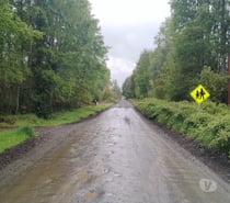 Vendo parcela con casa y cabaña (parcela de agrado)