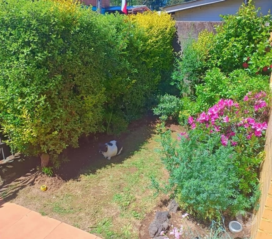 Arriendos Cautín Villarrica - Fotos de Hermosa casa en Villa Altos de Villarrica