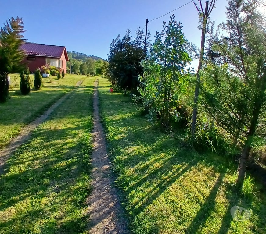 Parcelas en Venta Valdivia Lanco - Fotos de Parcela con Casa Habitación ,Purulon-Lanco.