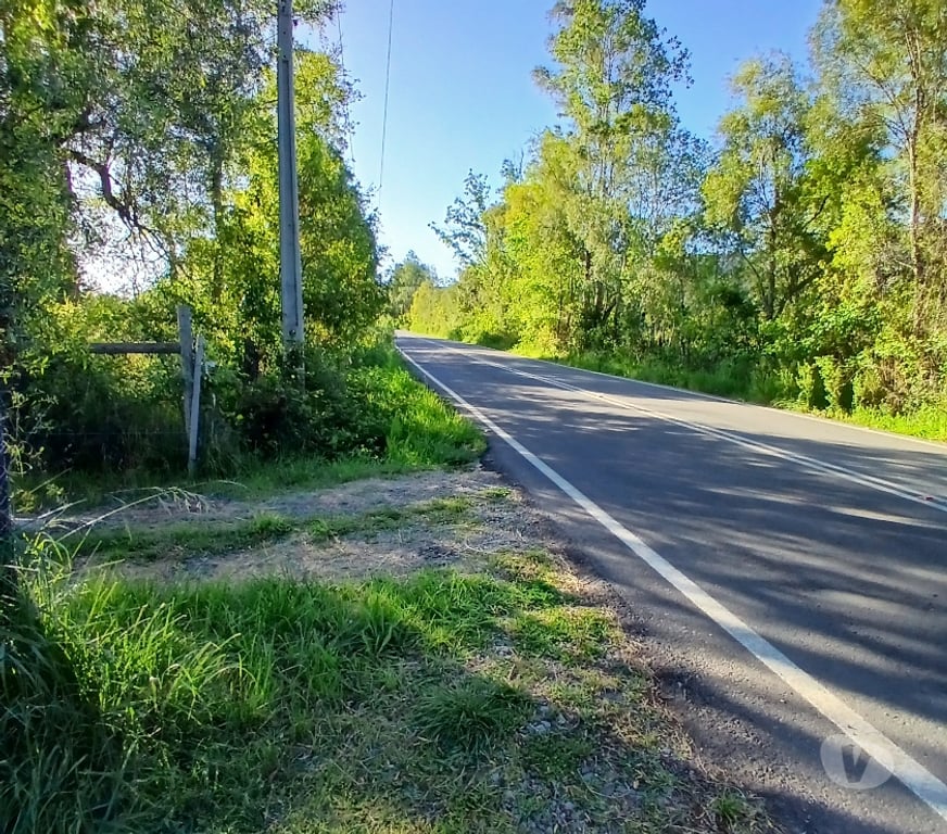 Parcelas en Venta Valdivia Lanco - Fotos de Parcela con Casa Habitación ,Purulon-Lanco.