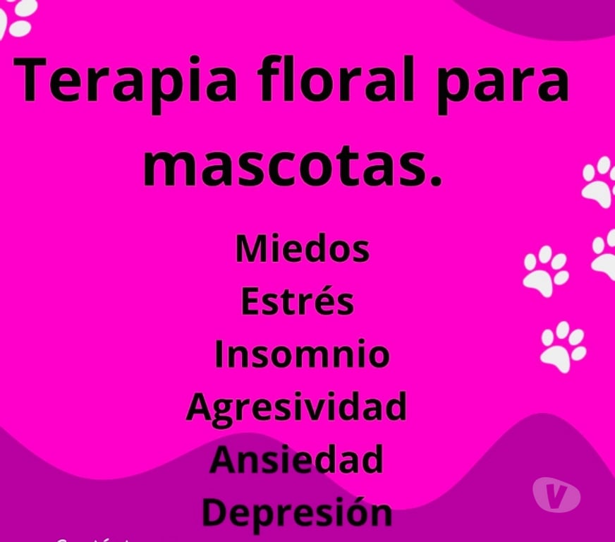 Veterinarios-Servicios-Accesorios Santiago Ñuñoa - Fotos de Terapia floral para mascotas