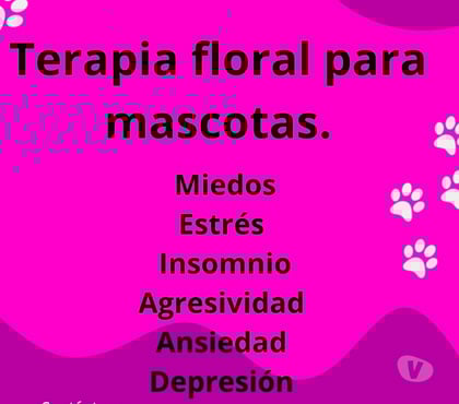 Servicios Veterinarios Ñuñoa Santiago - Fotos de Terapia floral para mascotas