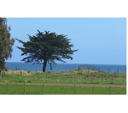 Parcelas Cobquecura Ñuble - Fotos de SANTA RITA CAMPO Y MAR