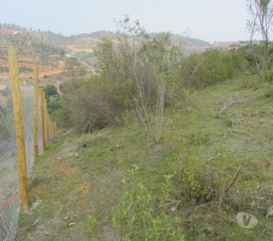 Parcelas en Venta Valparaíso Villa Alemana - Fotos de PARCELA EXCELENTE VISTA PEÑABLANCA CAJON DEL LEBU