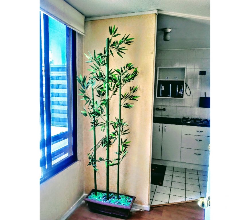 Arriendo de piezas Santiago Santiago - Fotos de Pieza pequeña $210.000 en Santiago Centro