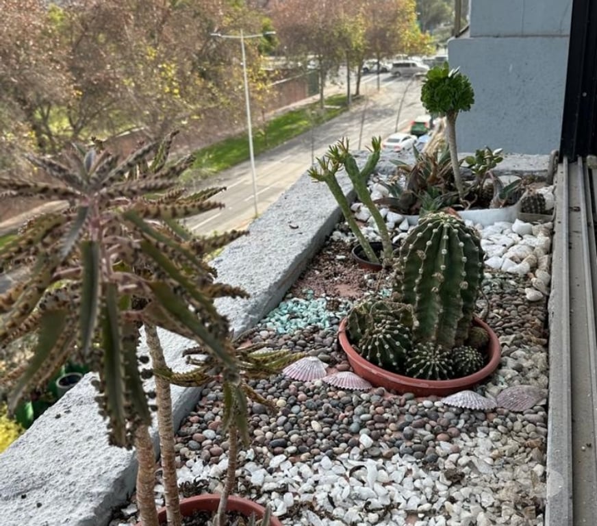 Bienes Raices Santiago Las Condes - Fotos de REGIO 1 DORMITORIO 68 M2. REMODELADO