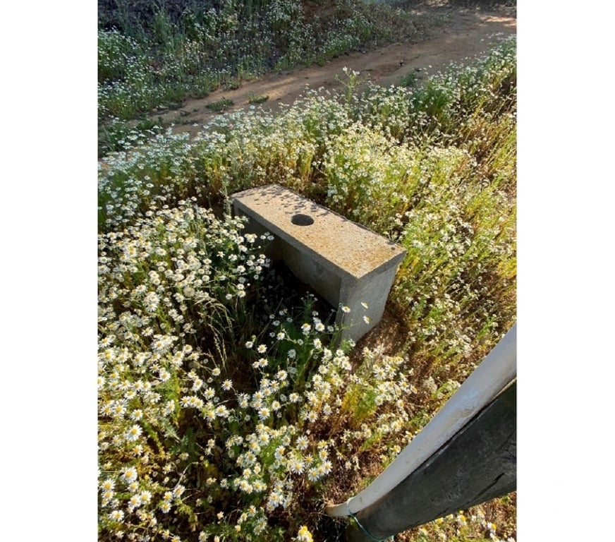 Parcelas en Venta Quillota Limache - Fotos de PARCELA EMBALSE LOS AROMOS, LIMACHE, 5.000 M2.