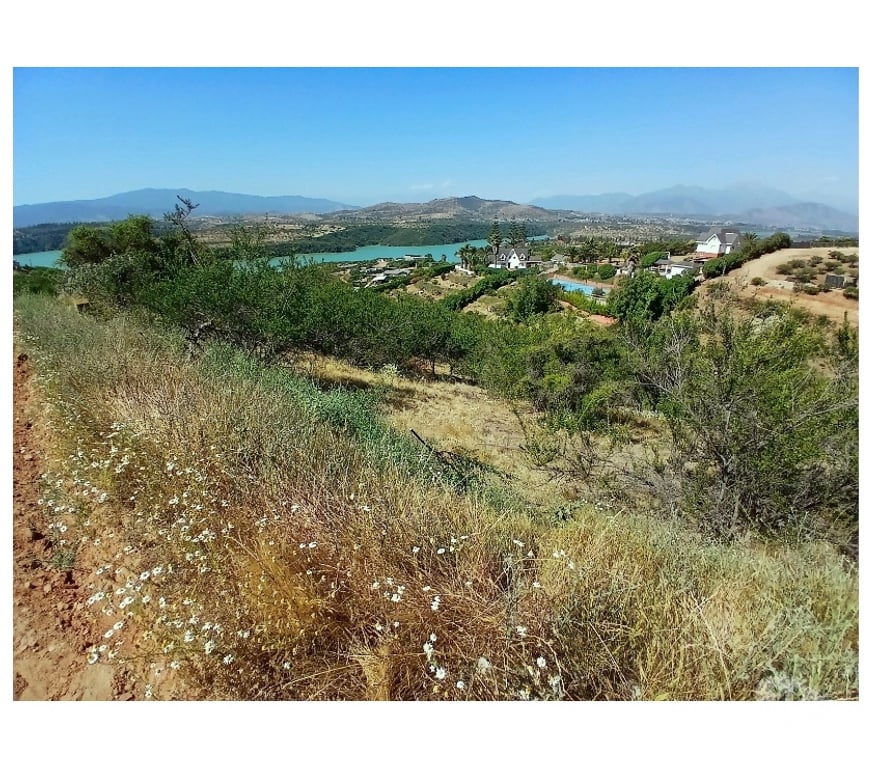 Parcelas en Venta Quillota Limache - Fotos de PARCELA EMBALSE LOS AROMOS 5.000 M2. LIMACHE