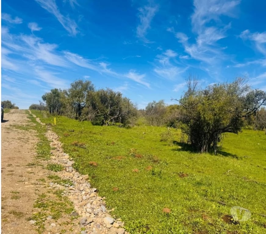 Parcelas en Venta Ñuble Chillán Viejo - Fotos de vendo terreno 5000mt2 chillan viejo con rol propio