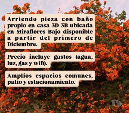 Arriendo de Piezas Viña del Mar Valparaíso - Fotos de Arriendo pieza con baño privado Miraflores bajo