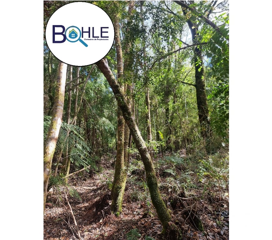 Parcelas en Venta Llanquihue Puerto Montt - Fotos de PARCELAS EN PUERTO MONTT, CONDOMINIO PLAYA CHAMIZA