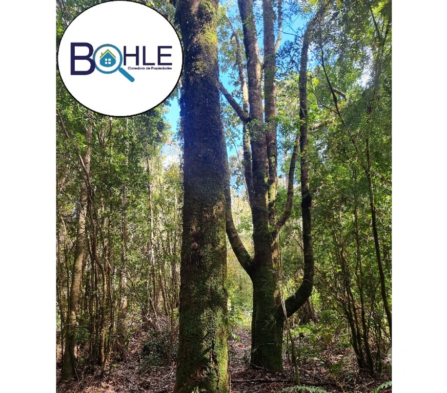 Parcelas en Venta Llanquihue Puerto Montt - Fotos de PARCELAS EN PUERTO MONTT, CONDOMINIO PLAYA CHAMIZA