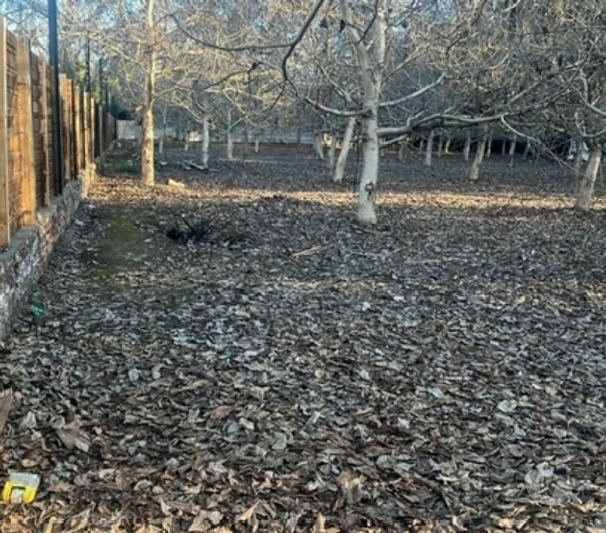 Parcelas en Venta Maipo Paine - Fotos de Venta Terreno de 5.390m2, Sector el Vinculo, Paine