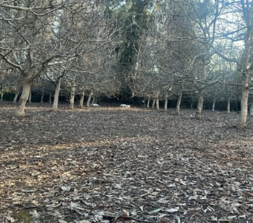 Parcelas en Venta Maipo Paine - Fotos de Venta Terreno de 5.390m2, Sector el Vinculo, Paine