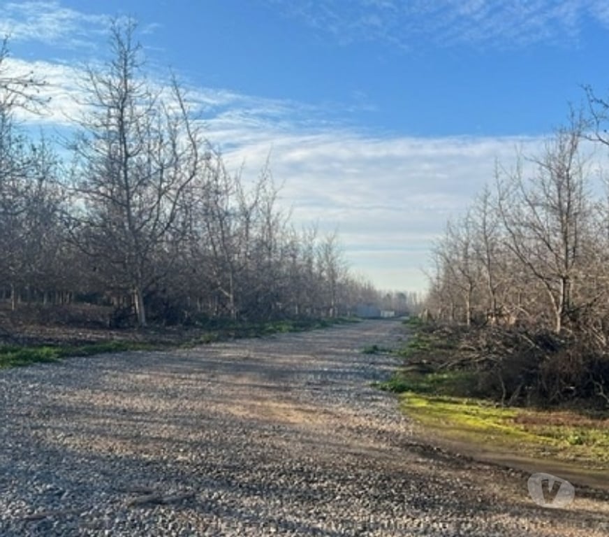 Parcelas en Venta Maipo Paine - Fotos de Venta Terreno de 5.390m2, Sector el Vinculo, Paine