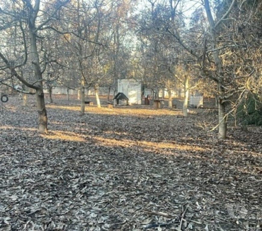 Parcelas en Venta Maipo Paine - Fotos de Venta Terreno de 5.390m2, Sector el Vinculo, Paine