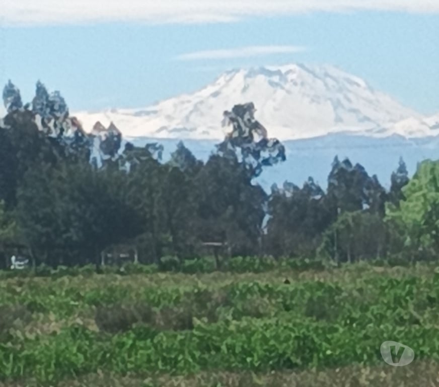 Parcelas en Venta Talca Pelarco - Fotos de Parcelas de media hectarea