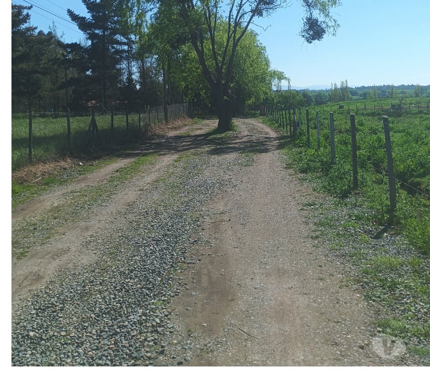 Parcelas en Venta Talca Pelarco - Fotos de Parcelas de media hectarea