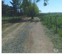 Parcelas de media hectarea