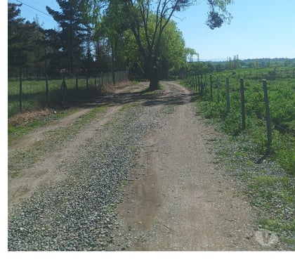 Parcelas Pelarco Talca - Fotos de Parcelas de media hectarea