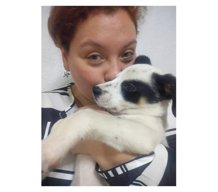 Adopción ed Animales Santiago Santiago - Fotos de PERDITA, cachorra 2 a 3 meses