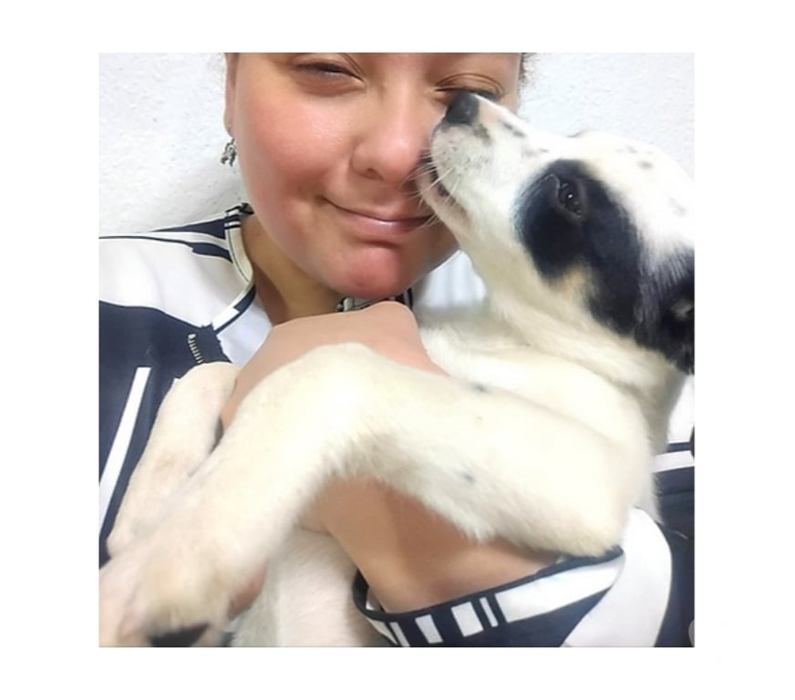 Adopción ed Animales Santiago Santiago - Fotos de PERDITA, cachorra 2 a 3 meses