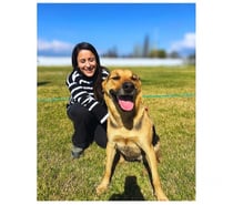 Laika Hermosa mestiza de Perro de Carolina