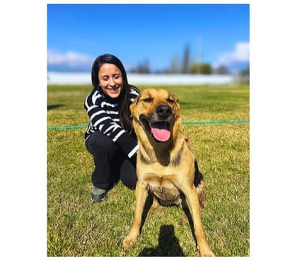 Adopción de Gatos Santiago Santiago - Fotos de Laika Hermosa mestiza de Perro de Carolina