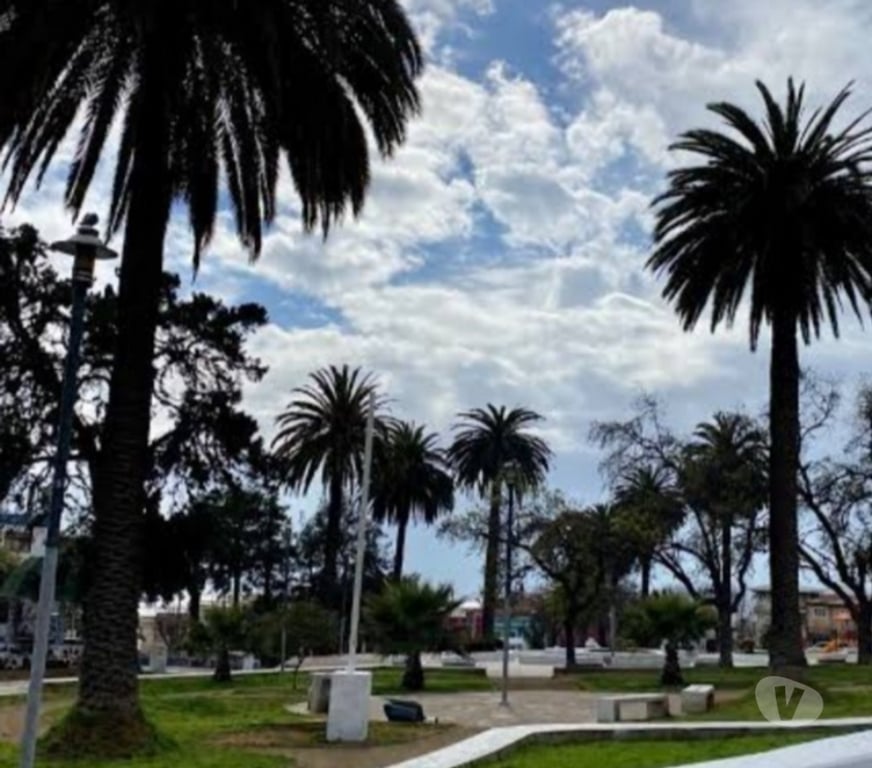 Arriendos Valparaíso Valparaíso - Fotos de Arriendo de casa cerro placeres (central)