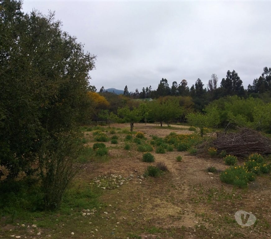 Parcelas en Venta Valparaíso Quilpué - Fotos de PARCELA EN CONDOMONIO SANTA MARIA DE LOS QUILLAYES