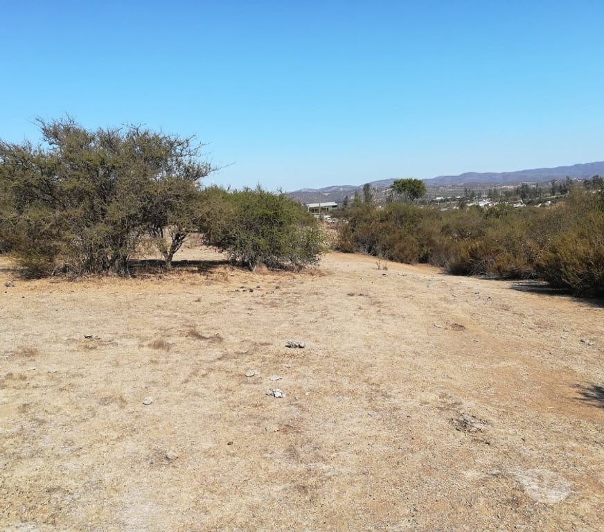 Parcelas en Venta Quillota Limache - Fotos de PARCELA CAMINO LOS LAURELES, LIMACHE