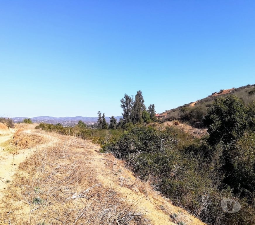 Parcelas en Venta Quillota Limache - Fotos de PARCELA CAMINO LOS LAURELES, LIMACHE