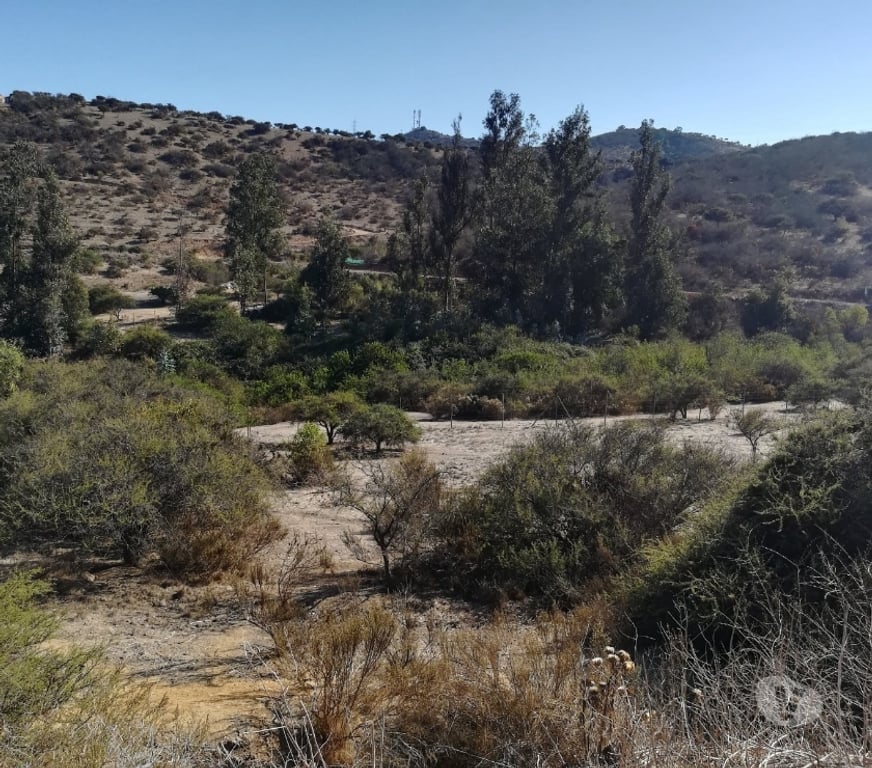 Parcelas en Venta Quillota Limache - Fotos de PARCELA CAMINO LOS LAURELES, LIMACHE