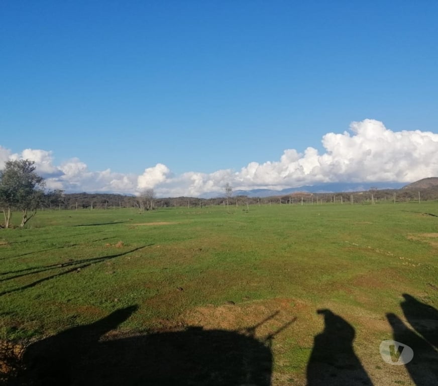 Parcelas en Venta Quillota Limache - Fotos de PARCELA PLANA SECTOR LOS BORRISQUEROS LIMACHE.