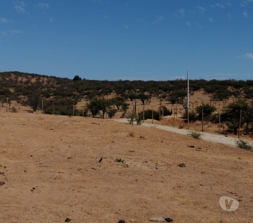 Parcelas en Venta Quillota Limache - Fotos de PARCELA PLANA SECTOR LOS BORRISQUEROS LIMACHE.