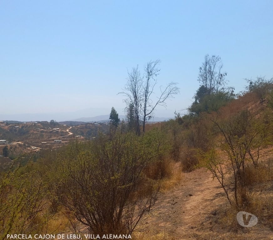 Parcelas en Venta Quillota Limache - Fotos de PARCELA FUNDO EL LEBU PEÑABLANCA
