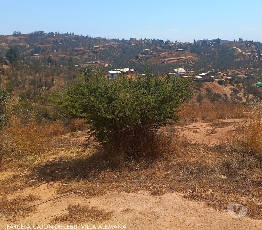Parcelas en Venta Quillota Limache - Fotos de PARCELA FUNDO EL LEBU PEÑABLANCA