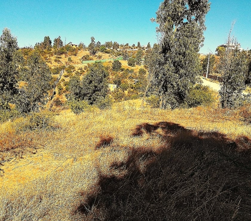 PARCELA EN VENTA CAJON DEL LEBU