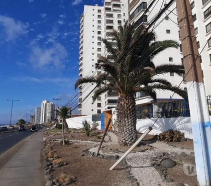 Arriendos Antofagasta Antofagasta - Fotos de Dpto Vientos del Sur I