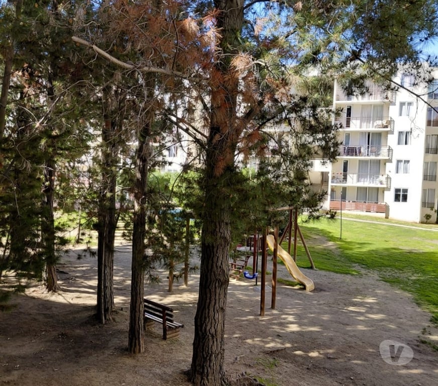 Bienes Raices Valparaíso Valparaíso - Fotos de DEPARTAMENTO SEGUNDO PISO CONDOMINIO PARQUE CURAUMA