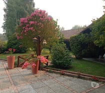 Fotos de Preciosa Parcela de7,5 hás en Linares con Casa Moderna