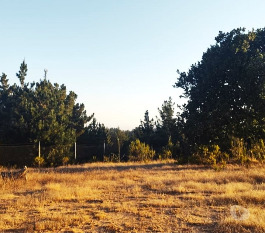 Parcelas en Venta Valparaíso Casablanca - Fotos de PARCELA EN VENTA SECTOR MELOSILLA