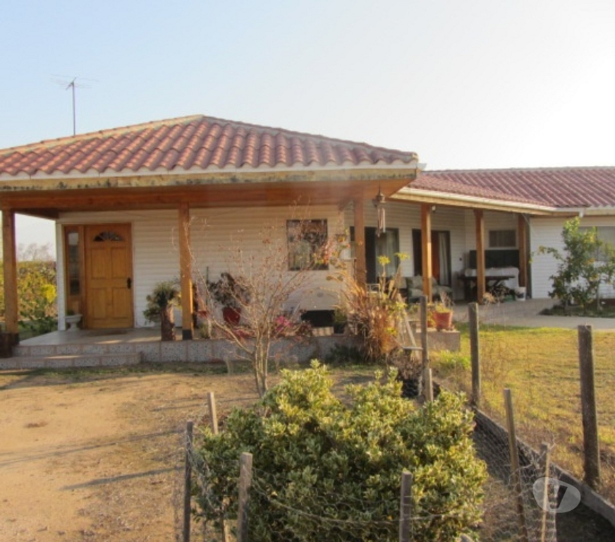 Parcelas en Venta Quillota Olmué - Fotos de PARCELA PLANA SECTOR LAS CRUCES OLMUE