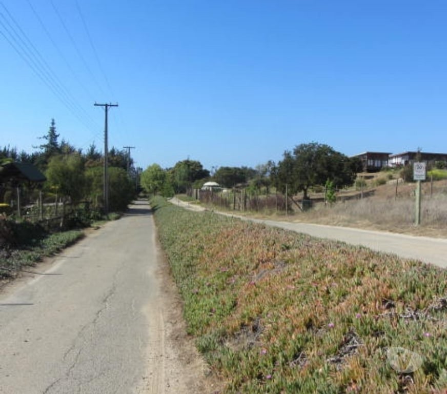 Parcelas en Venta Valparaíso Quintero - Fotos de PARCELA PLANA SECTOR VALLE DEL ESTERO QUINTERO